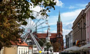 Ile lat żyje koń? Poznaj fakty i sekrety długowieczności