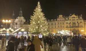 Ein festlich beleuchteter Weihnachtsbaum auf dem Prager Weihnachtsmarkt, umgeben von Buden und Menschen.