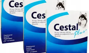Ile kosztują tabletki na odrobaczanie psa? Sprawdź ceny i opcje