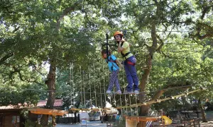 Bambini si divertono in un parco avventura Puglia, su un percorso sospeso tra gli alberi.