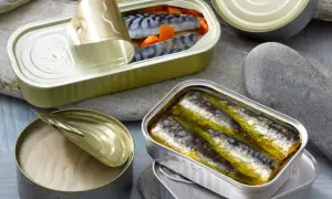 Boîtes de sardines ouvertes, riches en **sardine proteine**, sur des galets. Une conserve de poisson entier, une autre de filets dorés, et une troisième avec des morceaux de poisson et carottes.