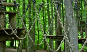 Park Linowy Opatowicka Wrocław: Ceny, trasy i tyrolka gotowi na start?
