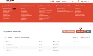 Panel administracyjny kru.pl, sekcja Zarządzanie domenami. Widoczny przycisk "DODAJ NOWĄ" do wyszukiwania domen.