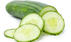 Zielony ogórek pokrojony w plastry, idealny na lekki posiłek. Niska zawartość ogórek zielony kcal.