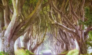 Niezapomniane atrakcje w Irlandii Północnej, które musisz zobaczyć