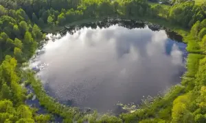 Malownicze jezioro Wójtowskie otoczone bujną zielenią lasów i trzcin.