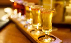 Degustacja drinków z syropem z czarnego bzu. Złociste płyny w kieliszkach na drewnianej desce, w tle rozmyte światła.