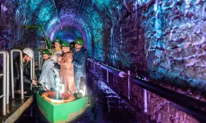 Skansen górniczy Królowa Luiza: Historia, atrakcje i informacje dla odwiedzających