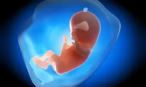 Pierwszy trymestr ciąży: Ile trwa? Co dzieje się z Tobą i dzieckiem?