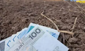 Pieniądze leżą na ziemi, symbolizując troskę o przyszłość rolnika. Zastanawiasz się, ile wynosi składka KRUS na kwartał 2026?