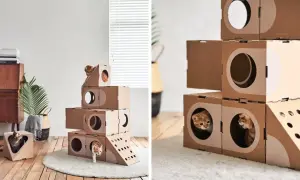 Domek dla kota z kartonu: Prosty przewodnik DIY i inspiracje