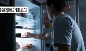 Ile prądu zużywa zamrażarka 200l? Sprawdź, ile możesz zaoszczędzić
