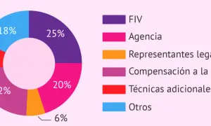 Gráfico circular muestra desgloses de cuanto cuesta un parto en España: FIV (25%), Agencia (20%), Compensación gestante (22%), Otros (18%), Técnicas adicionales (9%), Representantes legales (6%).