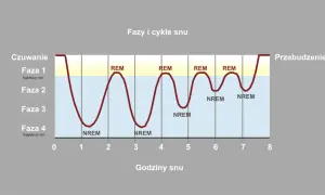 Wykres przedstawia cykle snu, pokazując różne fazy snu (REM i NREM) w ciągu nocy.