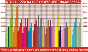Ile cm ma duża pizza Domino's? Pełny przewodnik po rozmiarach