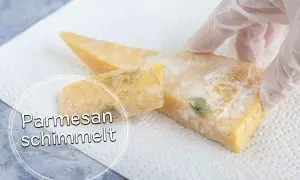 Parmesan mit grünem und weißem Schimmelbefall, der auf einem Küchentuch liegt. Ein Handschuh berührt den Käse.
