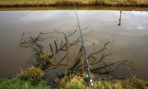 Eine Angelrute mit Rolle liegt am Ufer, bereit für die stellfischrute montage. Im trüben Wasser treiben Äste.
