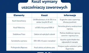 Tabela kosztów wymiany uszczelniaczy zaworowych. Objawy uszkodzeń mogą prowadzić do wyższych kosztów naprawy.