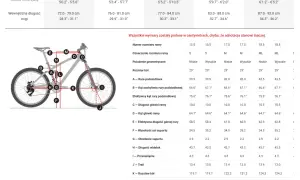 Jaką ramę do enduro wybrać, aby uniknąć rozczarowania?