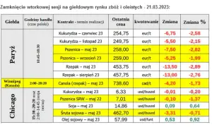 Po ile rzepak w skupie? Sprawdź aktualne ceny i prognozy rynku