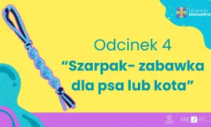 Jak zrobić szarpak dla psa ze sznurka, aby był bezpieczny i trwały