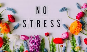 Kwiaty i litery "NO STRESS" tworzą radosną kompozycję, która budzi pozytywne emocje i spokój.
