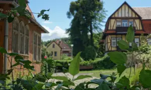 Zielone liście i pąki kwiatów na tle urokliwych kamienic w Gdańsku Aniołkach.