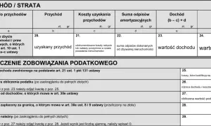 Formularz podatkowy z sekcją "Dochód / Strata", gdzie w wierszu "Odpłatne zbycie nieruchomości" widnieje pole "pit 39".
