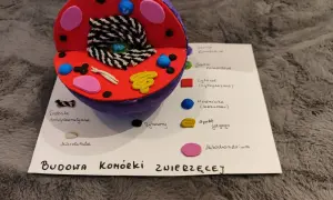Kolorowy model komórki zwierzęcej z widocznymi organellami, takimi jak jądro, mitochondria i aparat Golgiego.
