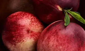 Kiedy jest sezon na nektarynki? Odkryj najlepszy czas na zakupy