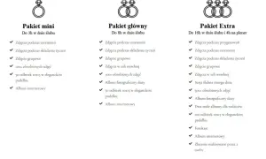 Dokumenty do ślubu kościelnego: Kompletna lista i harmonogram