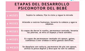 Tabla que detalla el desarrollo del bebé mes a mes, desde los 2 hasta los 12 meses, cubriendo hitos psicomotores.