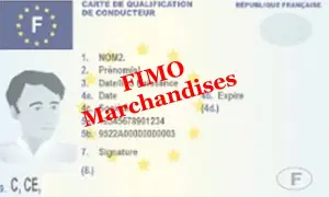 Carte de qualification de conducteur pour poids lourd, mention FIMO Marchandises.