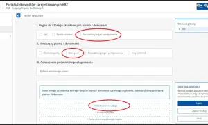 Jak sprawdzić zadłużenie firmy? Przewodnik krok po kroku (KRZ, KRD, KRS)