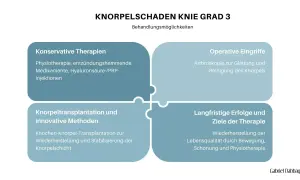Knorpelschaden Knie Grad 3: Behandlungsmöglichkeiten von konservativen Therapien bis zu Knorpeltransplantation.