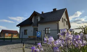 Piękne irysy kwitną przed domem w Ochabach Wielkich. W tle widać drugi budynek i parking.