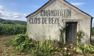 Vecchio casotto in pietra con scritta "CHAMBERTIN CLOS DE BEZE" sbiadita, circondato da vigneti rigogliosi sotto un cielo azzurro.