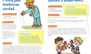 Frazeologizmy lista - poznaj najpopularniejsze wyrażenia z ich znaczeniem