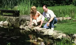 Ein Paar füttert eine seltene albino Forelle in einem Teich.