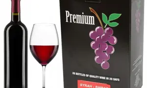 Gdzie kupić wino patykiem pisane? Odkryj rzadkie okazje na rynku