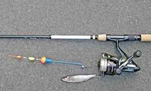 Angelrute mit Rolle, Pose und einem kleinen Fisch, bereit für den Zanderfang.