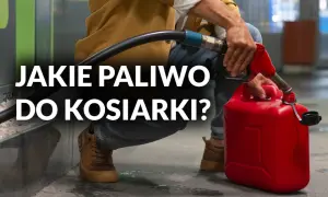 Jakie paliwo do kosiarki? Benzyna 95, 98, E10 poradnik