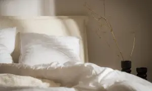 Pranie poduszki z pierza: Ile kosztuje i czy domowe pranie ma sens?