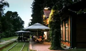 Białowieża: Gdzie zjeść? Od carskich smaków po dziczyznę!