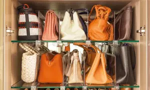 Estantería con varios bolsos de diferentes colores y estilos, perfectamente organizados para facilitar su acceso.