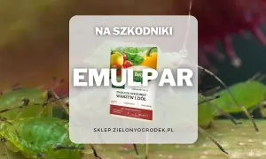 Emulpar 940 EC zwalcza mszyce i inne szkodniki warzyw i ziół. Termin stosowania: cały okres wegetacji.