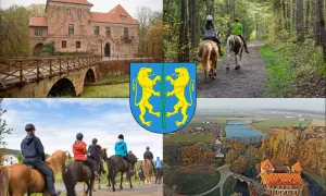Jazda Konna Mysłowice: Stadnina Arabka Oferta, Cennik, Kontakt