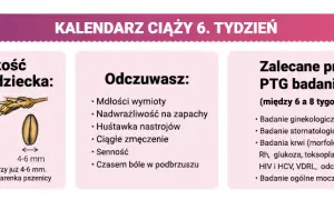 W którym tygodniu ciąży do lekarza? Twój plan pierwszej wizyty