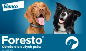Obroża Foresto czy Kiltix - która lepiej chroni przed kleszczami?