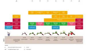 Schemat etapów rozwoju roślin sadowniczych z zastosowanymi środkami ochrony i nawozami.